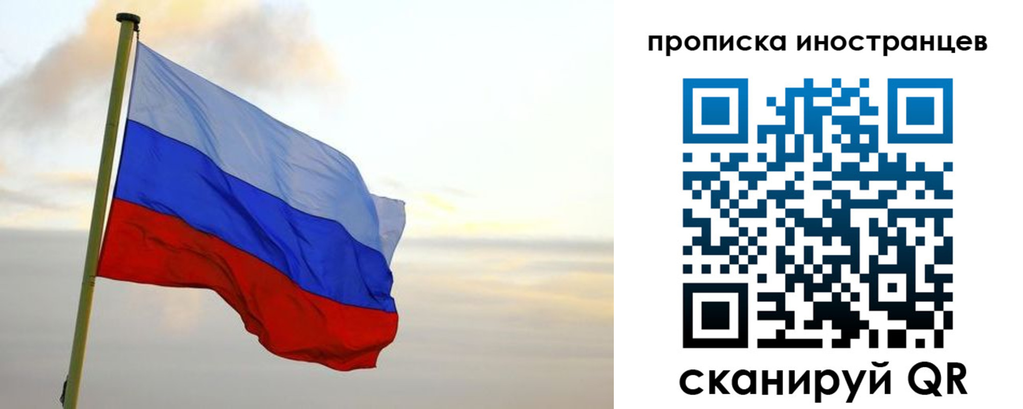 прописка для школы в Волосово